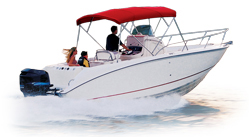 Pro-Line 220 Sportsman Semi-Custom Boat Covers