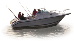 Century 2300 WA Semi-Custom Boat Covers